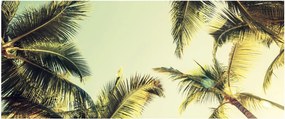 Tablou - Palmieri de cocos (120x50 cm)