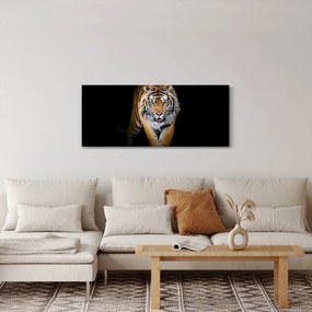 Tablou - Tiger (120x50 cm)