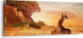 Tablou Girafe în Africa (120x50 cm)