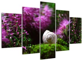 Tablou - Cochilie de melc (150x105 cm)