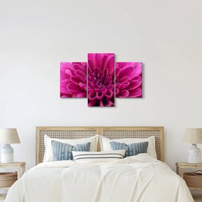 Tablou cu floare (90x60 cm)