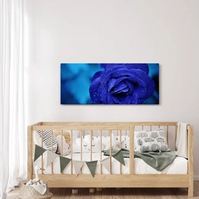 Tablou cu trandafir albastru (120x50 cm)