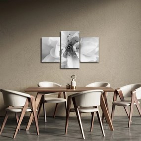 Tablou - Floare,alb-negru (90x60 cm)