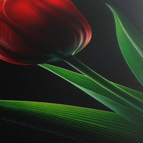 Tablou floarea lalelei în noapte