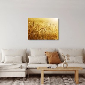 Tablou pe sticlă - Spice de cereale (70x50 cm)