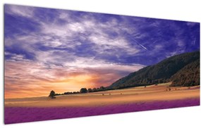 Tablou cu lunca cu lavandă (120x50 cm)
