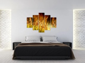 Tablou - Detaliu rouă (150x105 cm)