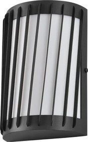 Rabalux 77206 - Lampă de perete pentru exterior TAMARITE LED/6W/230V IP54