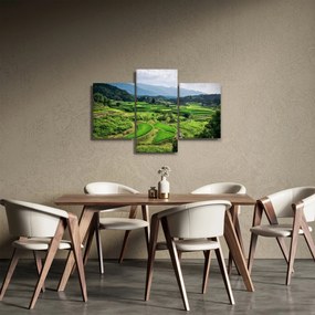 Tablou cu câmp de orez (90x60 cm)