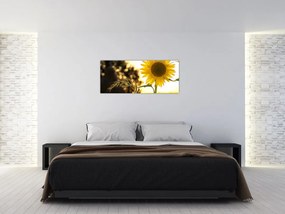 Tablou cu floarea soarelui (120x50 cm)