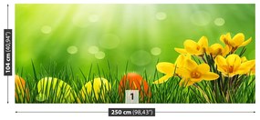 Fototapet Crocuses de Paști