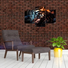 Tablou cu tigrul dormind (90x60 cm)