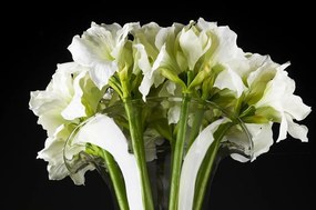 Aranjament floral elegant din crini de camera albi, VULCANO IVORY AMARYLLIS, 110cm 1141182.95