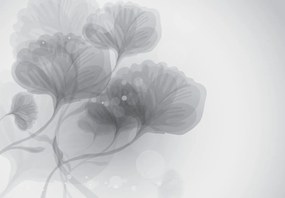Fototapet - Flori abstracte (147x102 cm)