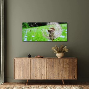 Tablou cu păpădie (120x50 cm)