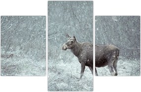 Tablou - Elan într-o pădure înzăpezită (90x60 cm)