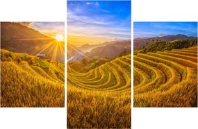 Tablou - Terasele de orez din Vietnam (90x60 cm)
