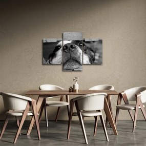 Tablou cu câine (90x60 cm)