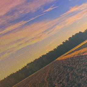 Tablou - Mașină galbenă ăn câmp (150x105 cm)