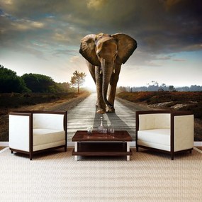 Fototapet - Elefant (254x184 cm)