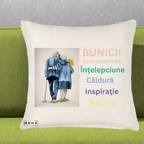 Cadou pentru Bunici - Perna Personalizata Bunicii Sursa Intelepciune Caldura Acuarela, 40x40 cm, Crem Reliefat, Husa Detasabila, Perna Inclusa, BEKZ®