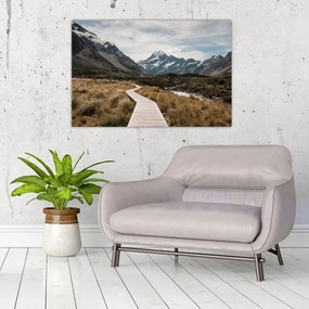 Tablou - Poteca în valea muntelui Mt. Cook (90x60 cm)