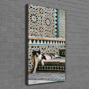 Print pe pânză Cat în Maroc