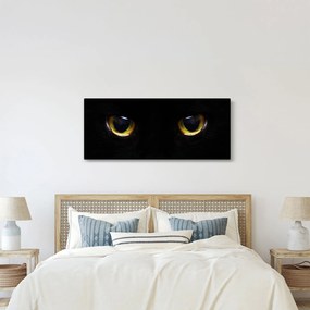 Tablou - Ochi de pisică (120x50 cm)