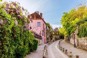 Fotografie Street in Montmartre with blooming wisteria, Alexander Spatari