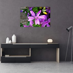 Tablou -flori de câmp (90x60 cm)
