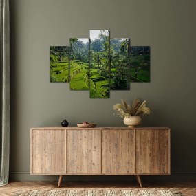 Tablou cu terasele cu orez Tegalalang, Bali (150x105 cm)