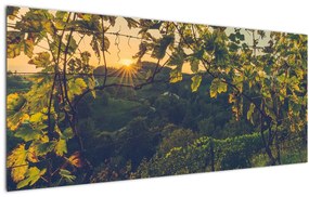 Tablou - Podgorii (120x50 cm)