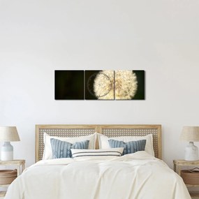 Tablou cu păpădie gri (cu ceas) (90x30 cm)