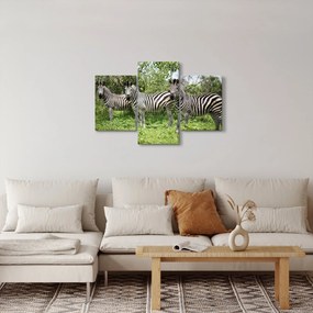 Tablou cu zebre (90x60 cm)