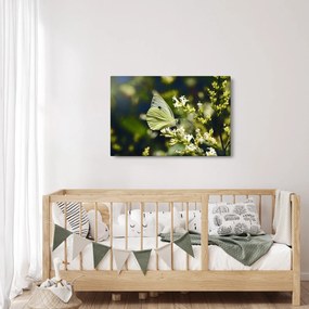 Tablou cu fluture (90x60 cm)