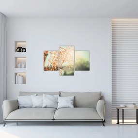 Tablou - Plante de luncă (90x60 cm)