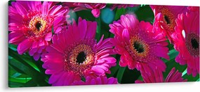 Tablou - floare (120x50 cm)
