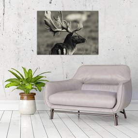 Tablou pe sticlă - Cerb (70x50 cm)