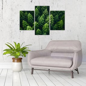 Tablou - Pădure (90x60 cm)