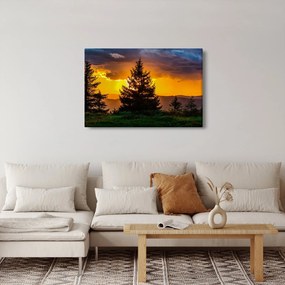 Tablou - coniferi (90x60 cm)