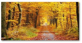 Pictura pe sticlă acrilică Pădure în toamna