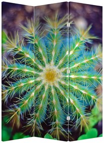 Paravan - Cactus (126x170 cm)