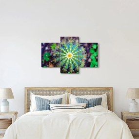 Tablou cu cactus (90x60 cm)