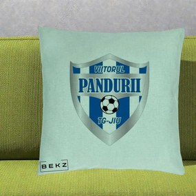 Perna Personalizata Pandurii Targu Jiu Fotbal, 40x40 cm, Verde Menta, Husa Detasabila, Perna Inclusa, BEKZ®