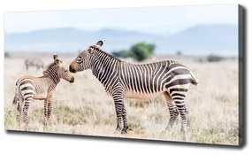 Print pe canvas Zebre în munți