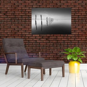 Tablou cu nivelul de lac alb negru (90x60 cm)