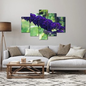 Tablou cu floare albastră (150x105 cm)