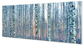 Tablouri acrilice Birch apus de soare pădure