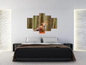 Tablou - Vulpe (150x105 cm)