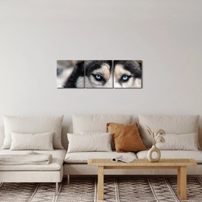 Tablou cu câinele husky (cu ceas) (90x30 cm)